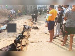 उमेदवाराची गावातील मटण पार्टी बकऱ्यांवर उलटली; 6 ठार, 15 मृत्यूच्या दारात