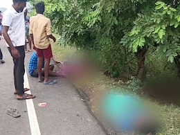 5 Women Grazing Cattle Killed After Car Rams Them Near Chennai