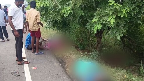 5 Women Grazing Cattle Killed After Car Rams Them Near Chennai