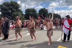Thousands Take To The Streets In New Zealand Thousands Take To The Streets In New Zealand