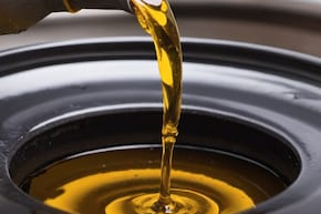 Mustard Oil: सरसों का तेल खाने से क्या होता है? फायदे जान आज से डाइट में कर लेंगे शामिल