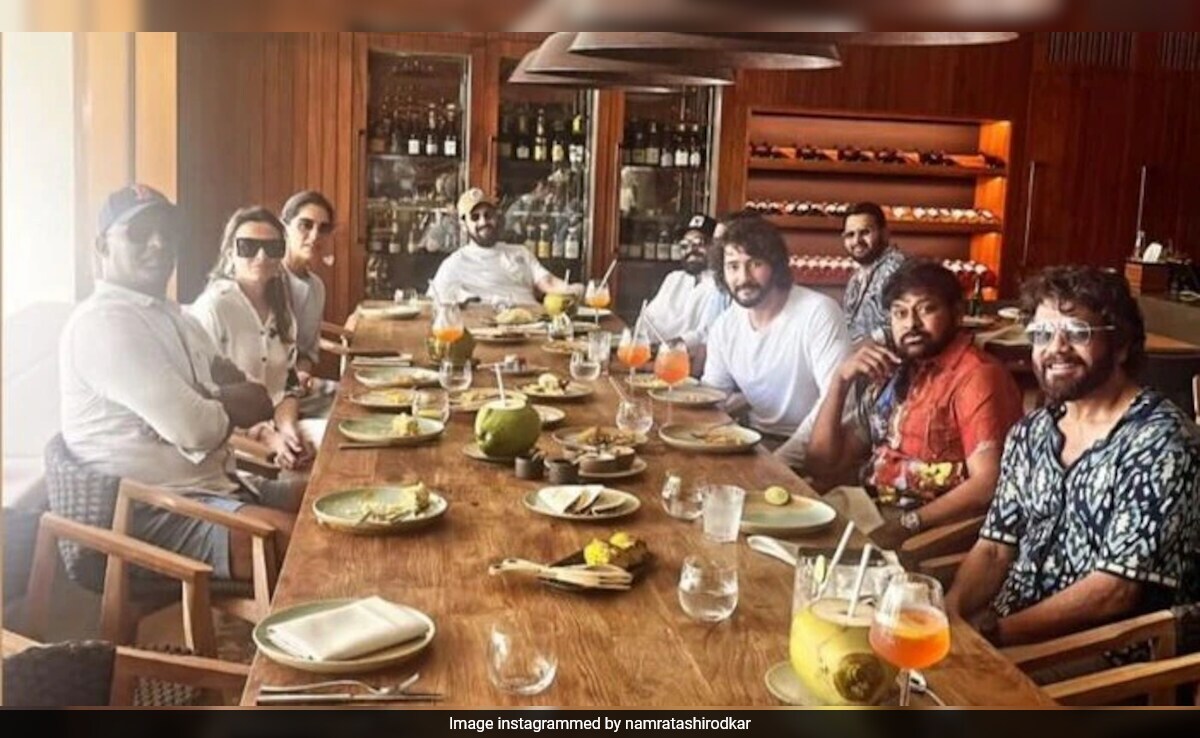 Chiranjeevi, Ram Charan To Nagarjuna: Count The Stars In Namrata Shirodkar's Fam-Jam Pic