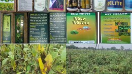 Pesticides Scam: ऑर्गेनिक फसलों में भी घोला जा रहा जहर, जैविक कीटनाशकों में मिले खतरनाक रासायनिक केमिकल&nbsp;