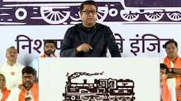 'महायुती, मविआचा जाहीरनामा म्हणजे..', राज ठाकरेंचा एका वाक्यात सणसणीत टोला