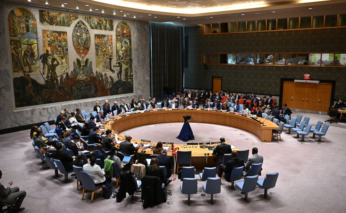 インド、安保理の進歩ペースに「不満」、1945年行き詰まりと語る