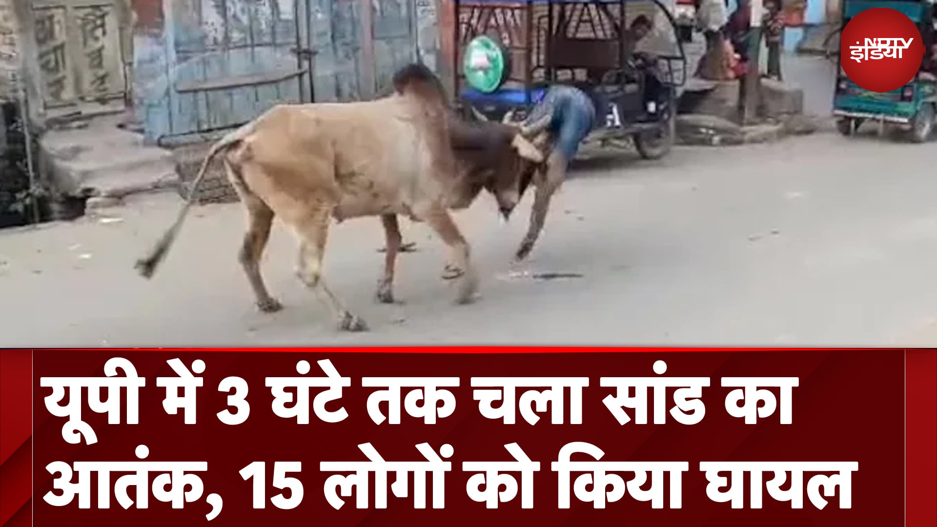 UP Bull Attack: आवारा सांड ने 15 लोगों को किया घायल, 3 घंटे की कड़ी मशक्कत के बाद पकड़ा गया