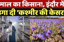 Indore News: कमाल का किसान! इंदौर में उगा दी 'कश्मीर की केसर', 5 लाख तक हो सकती है इस फसल की कीमत