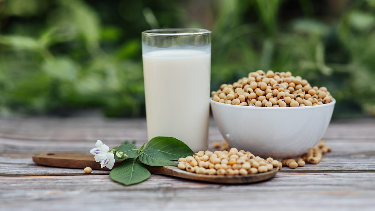 5 Facts About Soy Milk You Bet You Didn't Know