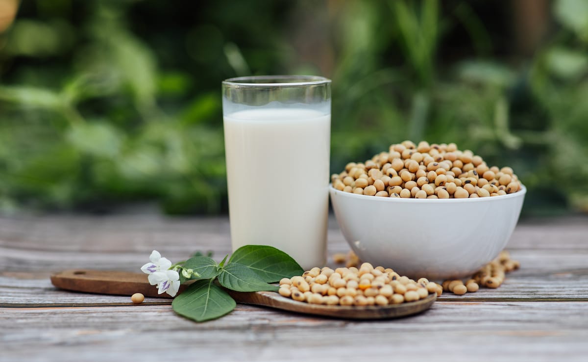 соя или соя е вид бобови растения родом от Източна