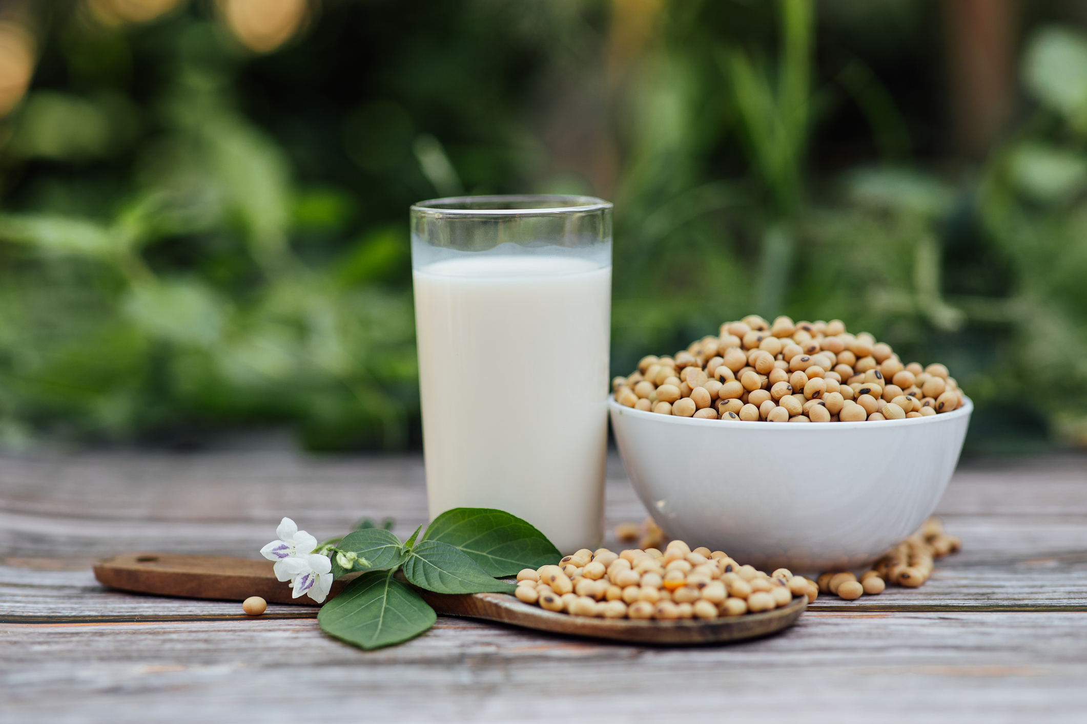 Numerous studies suggest that moderate consumption of soy and soy products