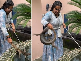 पानी की टंकी में गिरी मॉनिटर छिपकली को महिला ने नंगे हाथों से जैसे ही पकड़ा, जानवर ने उछलकर कर दिया अटैक और फिर... पानी की टंकी में गिरी मॉनिटर छिपकली को महिला ने नंगे हाथों से जैसे ही पकड़ा, जानवर ने उछलकर कर दिया अटैक और फिर...