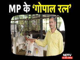 MP के देवेंद्र बनें 'गोपाल रत्न', दिल्ली में सम्मान, गोकुल मिशन में बनाई पहचान MP के देवेंद्र बनें 'गोपाल रत्न', दिल्ली में सम्मान, गोकुल मिशन में बनाई पहचान