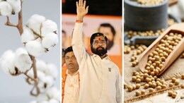 शेतकऱ्यांना मोठा दिलासा! सरकारकडून सोयाबीन-कापसाचे वाढीव हमीभाव जाहीर&nbsp;