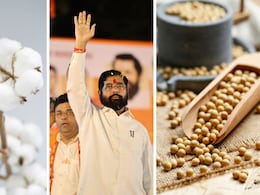 शेतकऱ्यांना मोठा दिलासा! सरकारकडून सोयाबीन-कापसाचे वाढीव हमीभाव जाहीर 