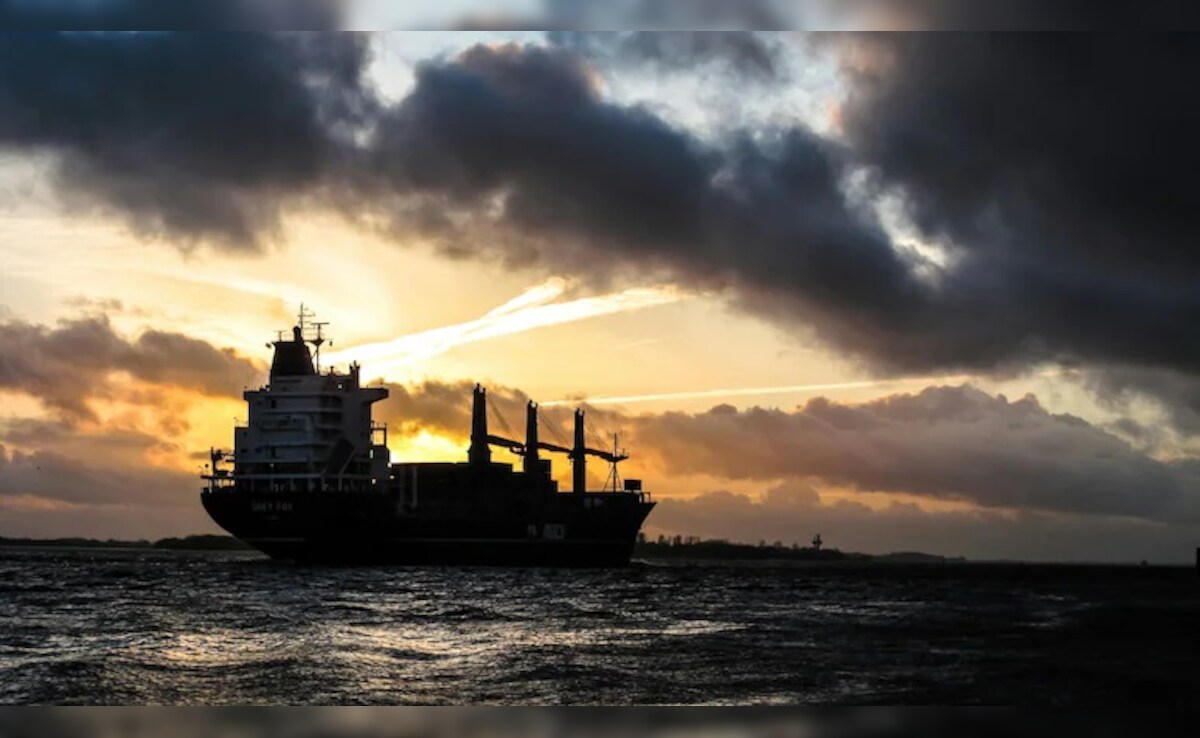 99lqsq88_india_625x300_10_November_24 चमत्कार! मालवाहक जहाज से समुद्र में गिरा नाविक, 24 घंटे बाद पाया गया जीवित