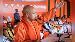 "Lineage Of Those Who Desecrated Temples Will Be Destroyed": Yogi Adityanath