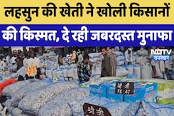 'Rajasthan By Election Result 2024 : बीच के बिच्छू का खेल खत्म', Beniwal पर बोली Jyoti Mirdha 'Rajasthan By Election Result 2024 : बीच के बिच्छू का खेल खत्म', Beniwal पर बोली Jyoti Mirdha