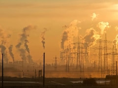 Conservation Expert Warns Earth Is In Midst Of Sixth Great Extinction: 'We Don't Have Time Left'