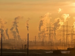 Conservation Expert Warns Earth Is In Midst Of Sixth Great Extinction: "We Don't Have Time Left" Conservation Expert Warns Earth Is In Midst Of Sixth Great Extinction: "We Don't Have Time Left"
