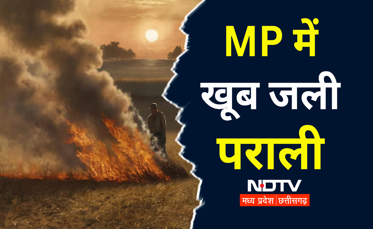 पराली जलाने में भी MP नंबर एक! हरियाणा-पंजाब पीछे रह गए, यहां देखिए क्या कहते हैं आंकड़े?