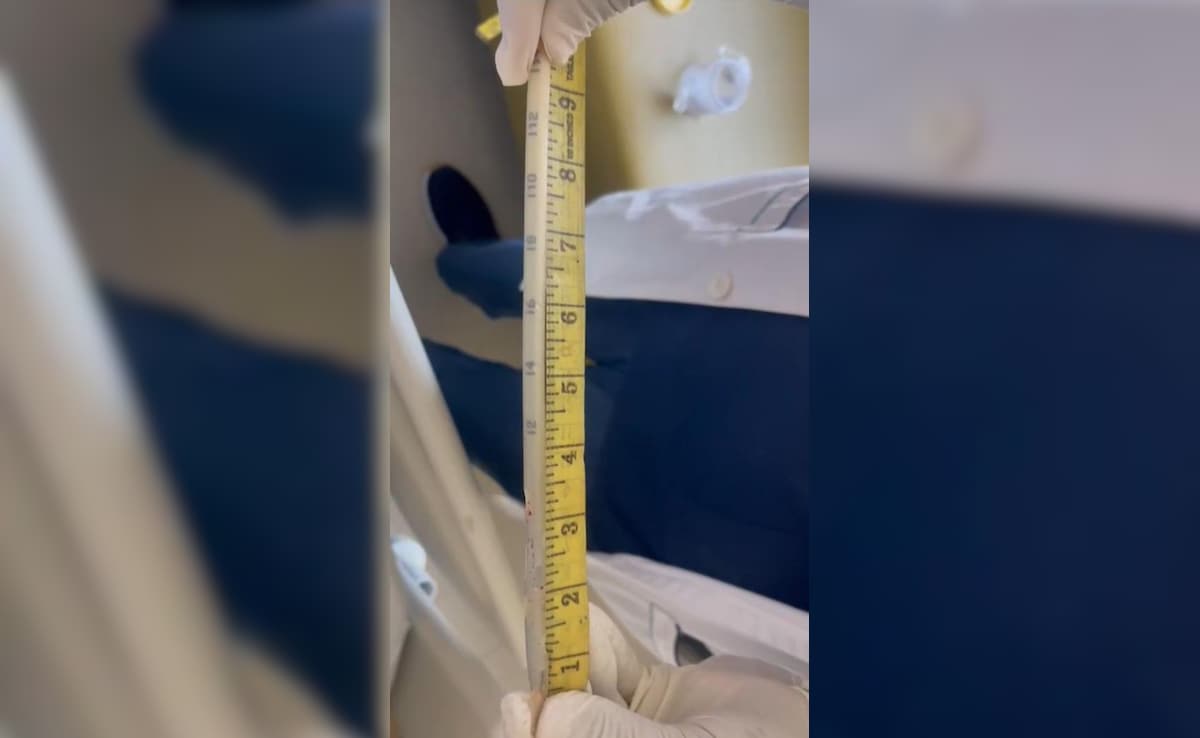 Latest and Breaking News on NDTV Latest and Breaking News on NDTV