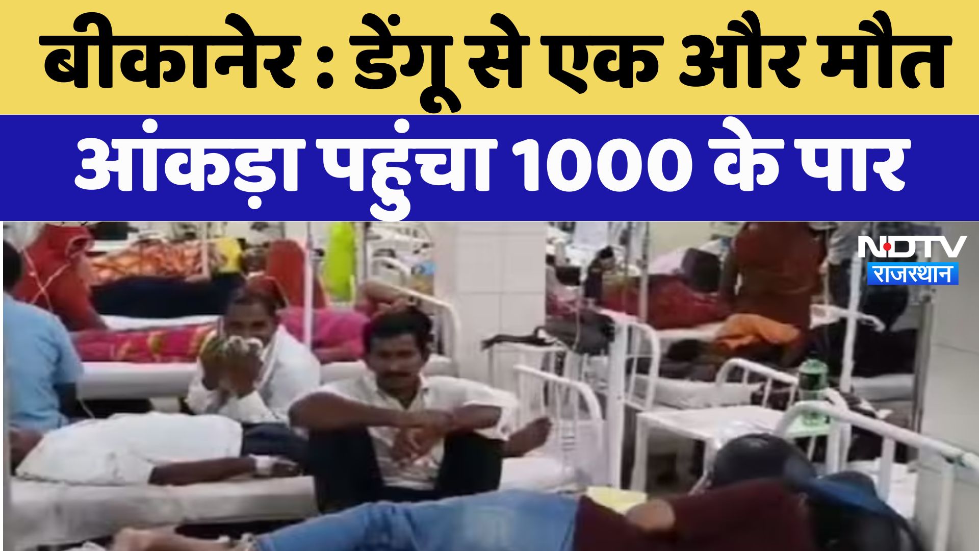 Dengue in Bikaner : बीकानेर में डेंगू से एक और मौत , आंकड़ा पहुंचा 1000 के पार