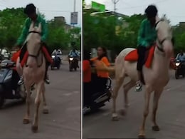 स्कूटी सवार महिलाओं को बगल से जा रहे घोड़े ने अचानक मारी लात, फिर जो हुआ, Video देख फूटा लोगों का गुस्सा