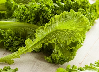 Delhi Air Got You Stressed? 5 Foods That May Help Your Body Deal With Pollution Delhi Air Got You Stressed? 5 Foods That May Help Your Body Deal With Pollution