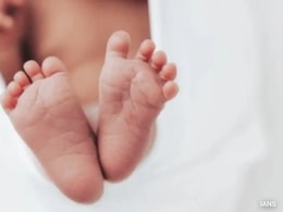 2-Year-Old Killed In Celebratory Firing During Wedding Procession In Noida: Cops 2-Year-Old Killed In Celebratory Firing During Wedding Procession In Noida: Cops