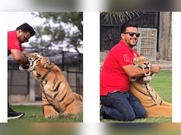 सोशल मीडिया पर हीरो बनने के चक्कर में पाकिस्तानी इंफ्लुएंसर ने टाइगर के मुंह में डाल दिया हाथ, और फिर... सोशल मीडिया पर हीरो बनने के चक्कर में पाकिस्तानी इंफ्लुएंसर ने टाइगर के मुंह में डाल दिया हाथ, और फिर...