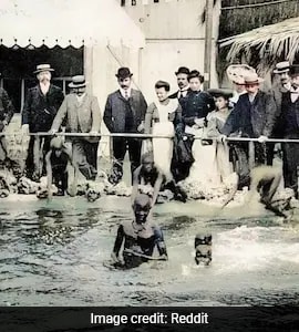 When Human Zoos Paraded Real People: A Dark Chapter Of Mankind