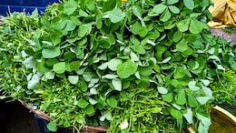 How To Store Methi Leaves And 5 Delicious Ways To Cook Them