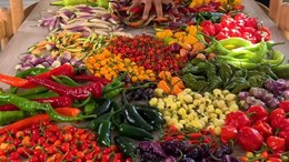 "Never Knew There Were So Many": Vlogger's Video Showing 35 Kinds Of Peppers Goes Viral