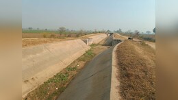जालोर के बाद धौलपुर में भी सामने आई किसानों की परेशानी, सूखी पड़ी हैं नहरें, खेतों में फसलें हो रही बर्बाद