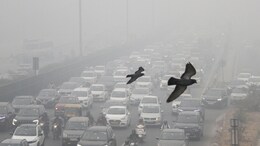 Delhi's Severe Pollution Takes Centre Stage At COP29