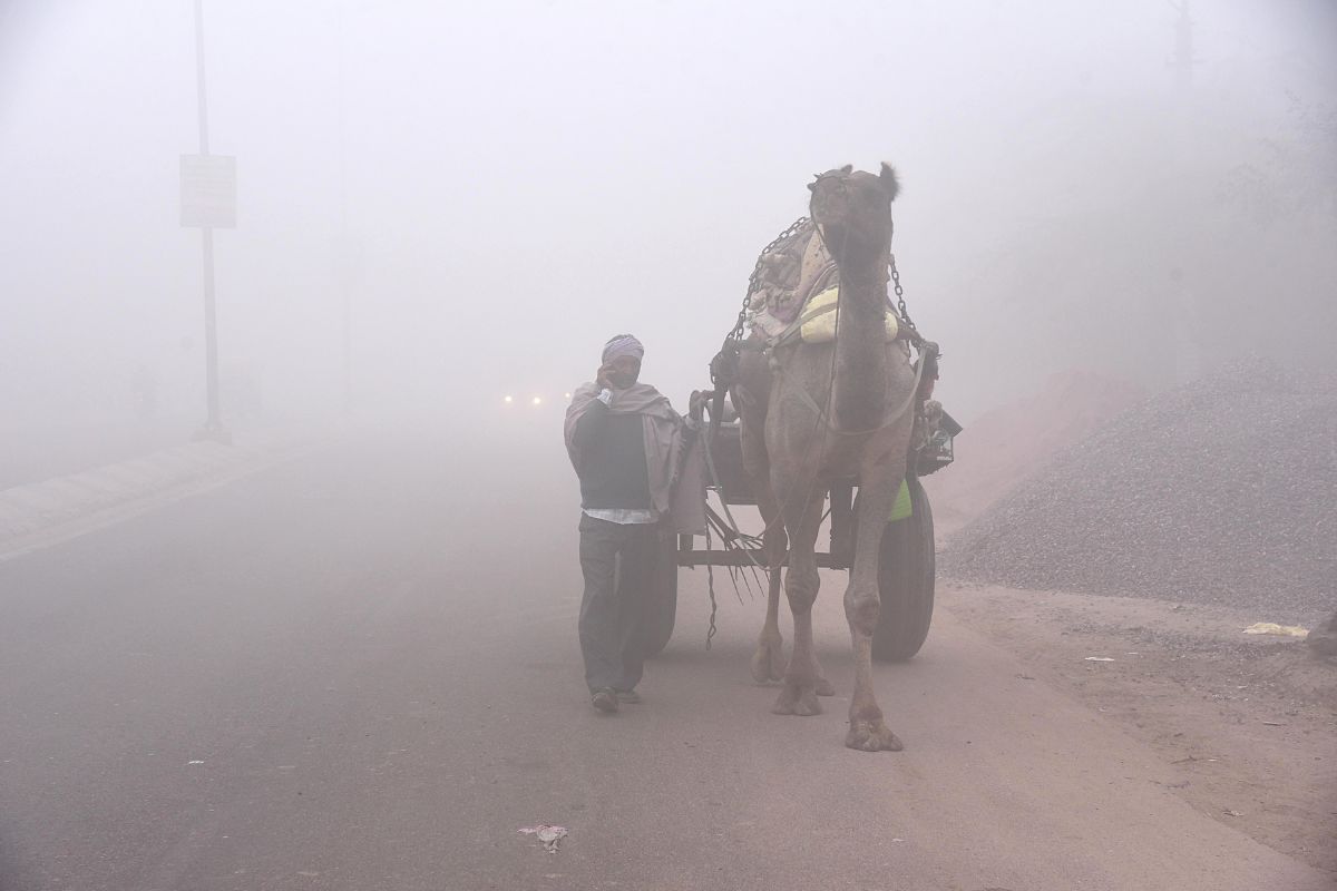 Rajasthan Weather: राजस्थान में पश्चिमी विक्षोभ से कड़ाके की ठंड का दौर होगा शुरू, IMD ने बताया- 2-3 डिग्री तक पहुंचेगा पारा