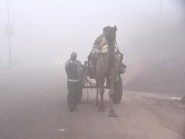 Rajasthan Weather: राजस्थान के कई जिलों में 10 डिग्री तक पहुंचा तापमान, कोहरे को लेकर मौसम विभाग का अलर्ट Rajasthan Weather: राजस्थान के कई जिलों में 10 डिग्री तक पहुंचा तापमान, कोहरे को लेकर मौसम विभाग का अलर्ट