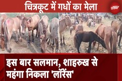 Madhya Pradesh News: चित्रकूट में गधों का मेला, इस बार सलमान, शाहरुख से महंगा निकला 'लॉरेंस' Madhya Pradesh News: चित्रकूट में गधों का मेला, इस बार सलमान, शाहरुख से महंगा निकला 'लॉरेंस'