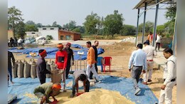CG Dhan Kharidi: 15 या 21... छत्तीसगढ़ में कितने क्विंटल धान की होगी खरीदी? मंत्री ने भ्रम किया दूर