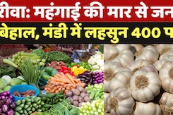 MP Vegetable Price Hike: MP में महंगाई से निकले 'आंसू' ! , ₹400 किलो बिक रहा लहुसन MP Vegetable Price Hike: MP में महंगाई से निकले 'आंसू' ! , ₹400 किलो बिक रहा लहुसन