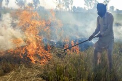 Delhi Air Pollution: Supreme Court Asks For 24x7 Data On Farm Fires Delhi Air Pollution: Supreme Court Asks For 24x7 Data On Farm Fires