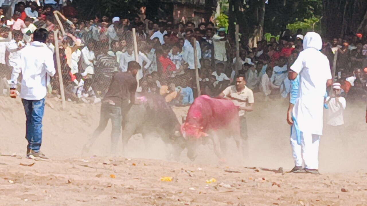 बुरहानपुर में प्राचीन पाडा लड़ाई का एक दृश्य बुरहानपुर में प्राचीन पाडा लड़ाई का एक दृश्य
