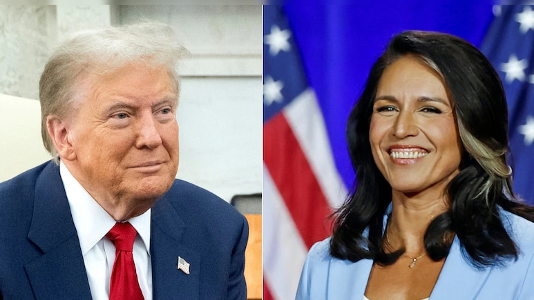 ट्रंप कैबिनेट में तुलसी गबार्ड को जगह, US कांग्रेस की पहली हिंदू सदस्य राष्ट्रीय खुफिया निदेशक बनाई गईं