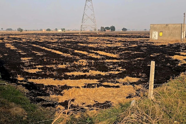 Latest and Breaking News on NDTV Latest and Breaking News on NDTV