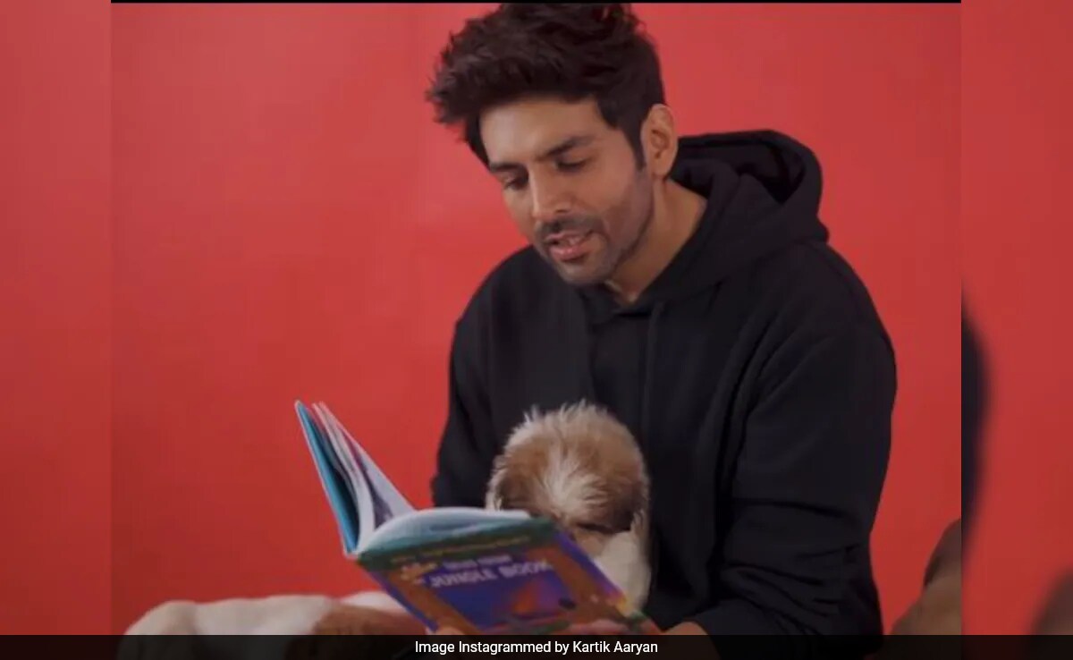 Kartik Aaryan's Big Reveal: "I Have Never Drank Alcohol In My Life"