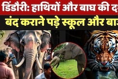 Dindori Elephants Terror: हाथियों और बाघ की दशहत, बंद कराने पड़े स्कूल और बाजार Dindori Elephants Terror: हाथियों और बाघ की दशहत, बंद कराने पड़े स्कूल और बाजार
