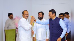 कोणाच्या वाट्याला कोणती खाती?  शिंदे- पवारांच्या पदरात काय? संभाव्य मंत्रिमंडळाची यादी आली