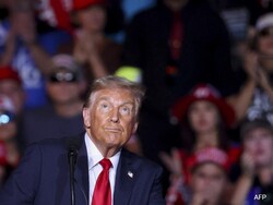 Deja Vu: Donald Trump's 2024 Victory Follows 2016 Script