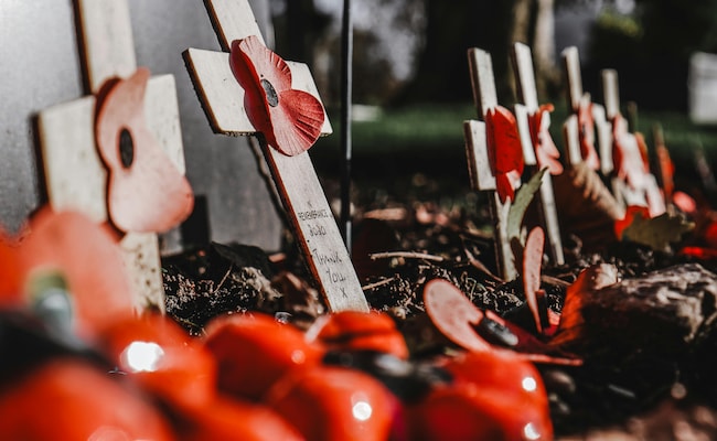 La Primera Guerra Mundial terminó el 11 de noviembre, Día del Armisticio: Historia y significado
