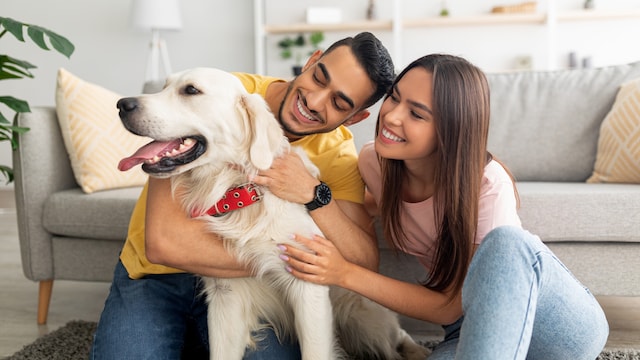 10 Most Common Dog-Related Health Problems